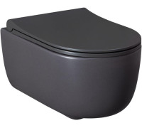 Чаша подвесного унитаза Allen Brau Priority 4.31002.AN антрацит