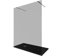 Душевая перегородка Allen Brau Infinity 2 160 3.21056.BA.T серебро браш