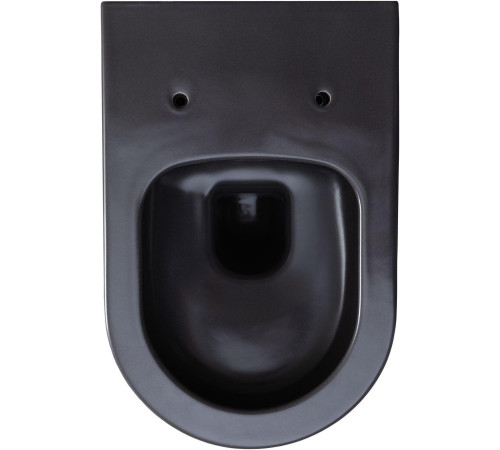 Чаша подвесного унитаза Allen Brau Priority 4.31001.AN антрацит