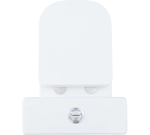 Чаша унитаза Aquanet Fine Rimless FINE-C Soft Close