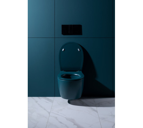 Крышка-сиденье для унитаза Allen Brau Fantasy Soft-Close 4.11005.PT петроль