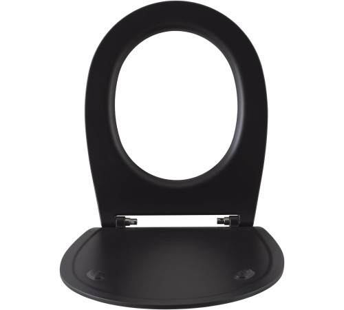Крышка-сиденье для унитаза Allen Brau Fantasy Smartfix, Soft-Close 4.11005.31 черный матовый