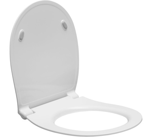 Чаша подвесного унитаза Allen Brau Fantasy 4.11004.21 белый матовый