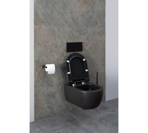 Чаша подвесного унитаза Allen Brau Priority 4.31001.31 черный матовый