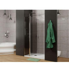Душевая дверь Allen Brau Priority 100 3.31004.00G хром