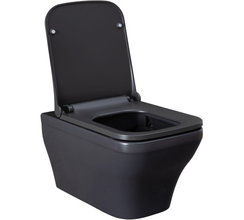 Чаша подвесного унитаза Allen Brau Infinity 4.21011.AN антрацит