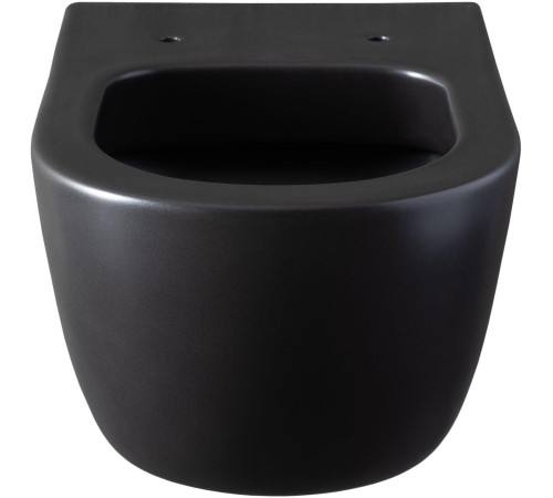 Чаша подвесного унитаза Allen Brau Priority 4.31001.31 черный матовый