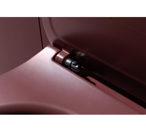 Чаша подвесного унитаза Allen Brau Fantasy 4.11004.BD бордо