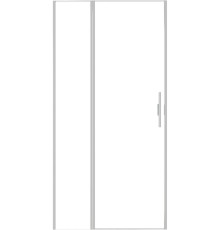 Душевая дверь Allen Brau Priority 100 3.31005.BA серебро браш