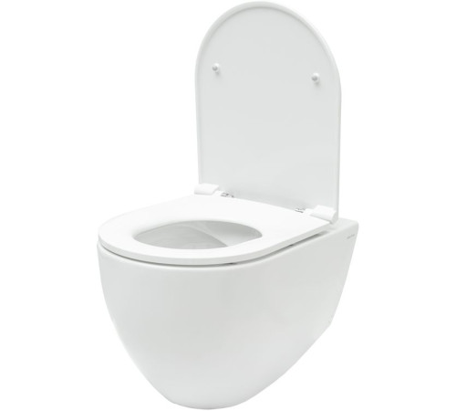Унитаз с инсталляцией Allen Brau Reality 4.32006.20/8.9466.0.000.000.1 белый глянец