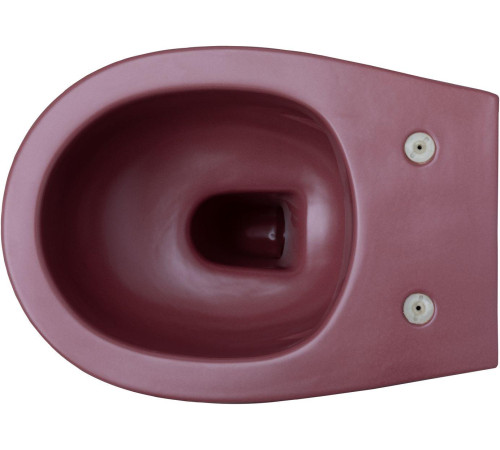 Чаша подвесного унитаза Allen Brau Fantasy 4.11004.BD бордо