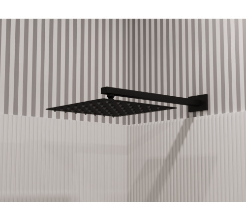 Верхний душ Allen Brau Infinity 5.21019-31 черный матовый