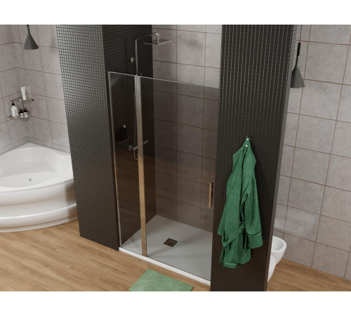 Душевая дверь Allen Brau Priority 90 3.31001.00G хром