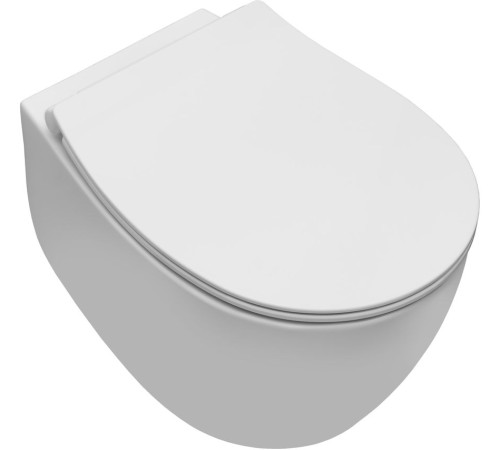 Чаша подвесного унитаза Allen Brau Fantasy 4.11004.21 белый матовый