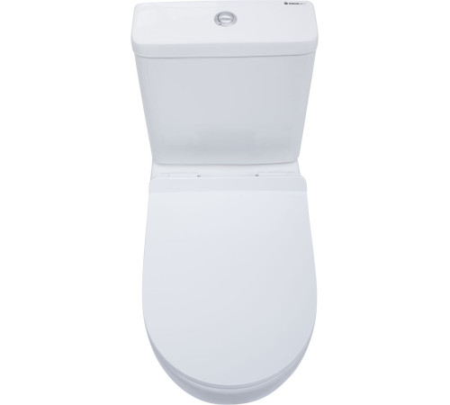 Чаша напольного унитаза Aquanet Rimless Cetus-C1 BL-102N-TPT