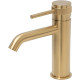 Смеситель для раковины Allen Brau Priority 5.31A01-GB золото