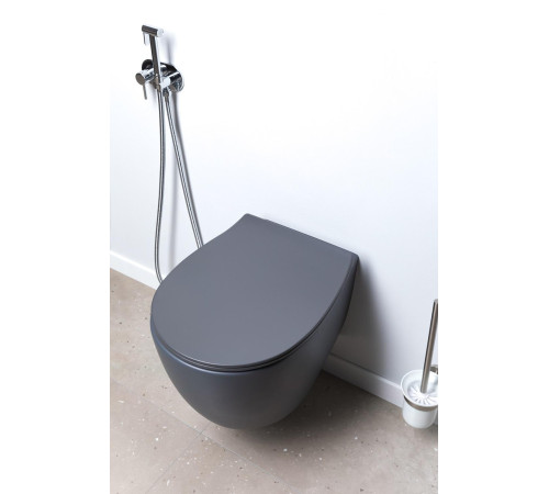 Чаша подвесного унитаза Allen Brau Fantasy 4.11004.AN антрацит