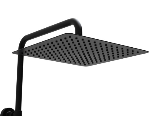 Душевая стойка Allen Brau Infinity 5.21032-31 черный матовый