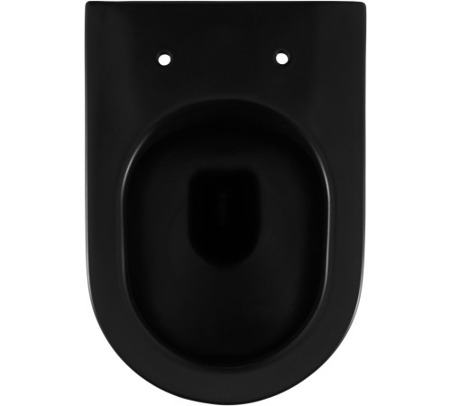 Чаша приставного унитаза Allen Brau Reality 4.32004.31 черный матовый