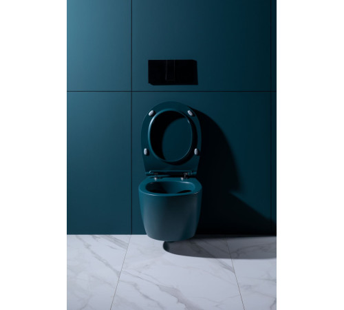 Крышка-сиденье для унитаза Allen Brau Fantasy Soft-Close 4.11005.PT петроль