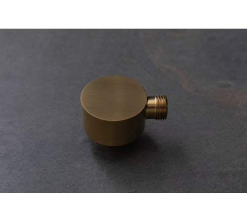 Шланговое подключение Allen Brau Priority 5.31A15-GB золото