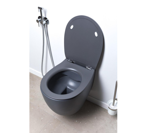 Чаша подвесного унитаза Allen Brau Fantasy 4.11004.AN антрацит