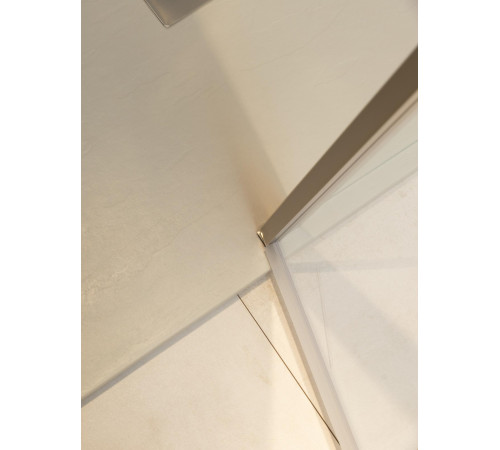 Душевая дверь Allen Brau Priority 90 3.31002.BA серебро браш