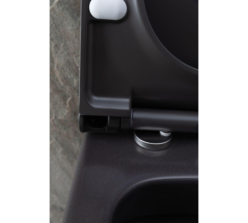 Чаша подвесного унитаза Allen Brau Priority 4.31001.AN антрацит