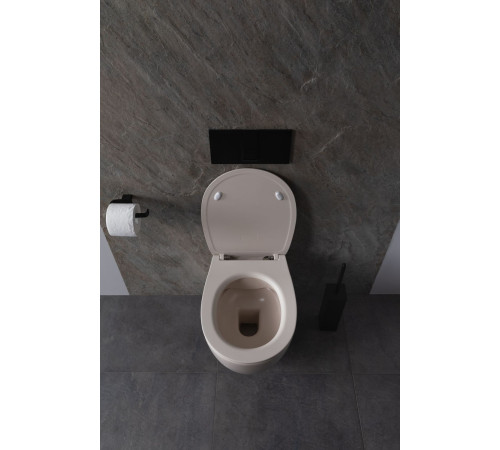 Чаша подвесного унитаза Allen Brau Fantasy 4.11004.IV айвори