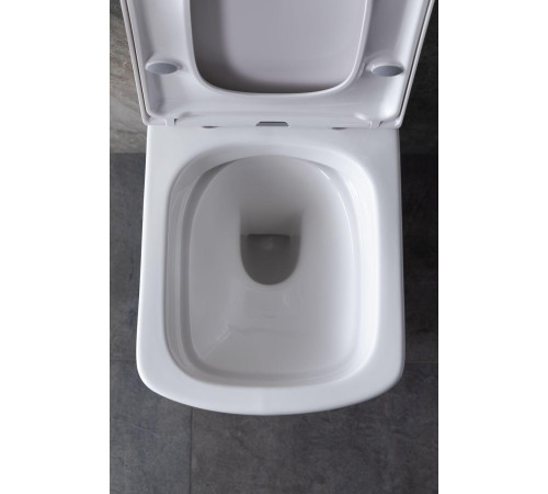 Крышка-сиденье для унитаза Allen Brau Liberty 4.33006.20 белый глянец