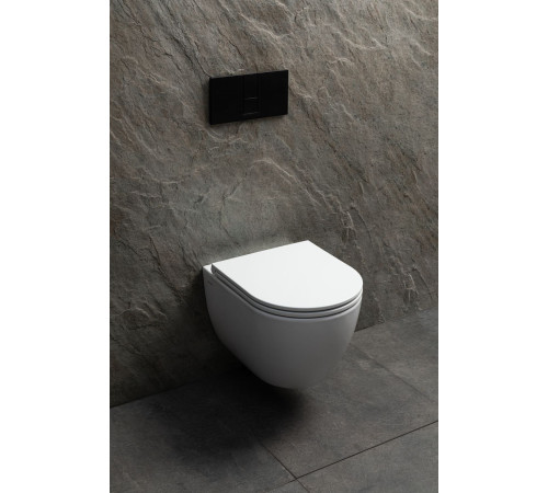 Чаша подвесного унитаза Allen Brau Priority Tornado 4.31008.20 белый глянец