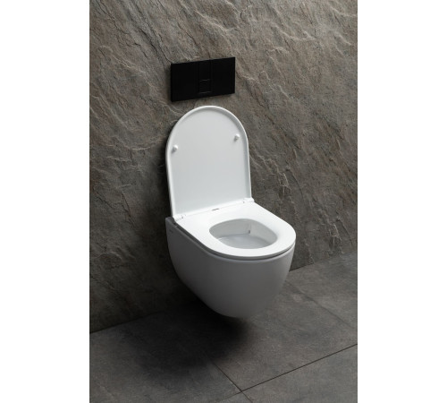 Чаша подвесного унитаза Allen Brau Priority Tornado 4.31008.20 белый глянец