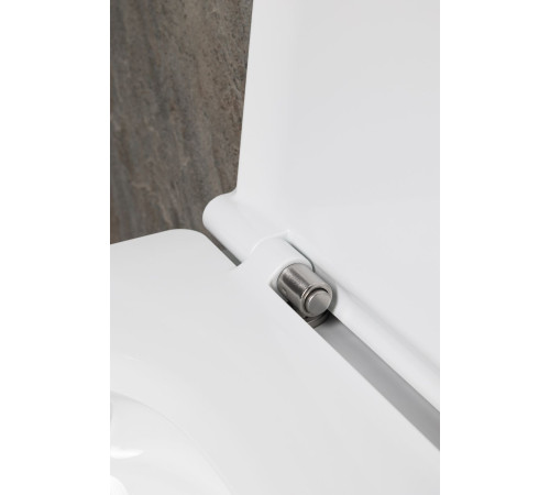 Чаша подвесного унитаза Allen Brau Liberty 4.33012.20 белый