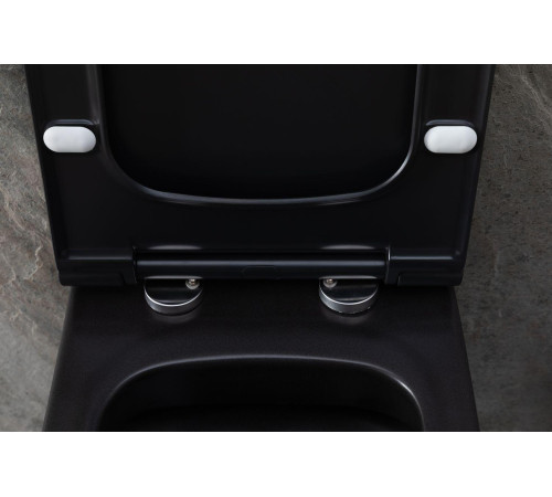 Чаша подвесного унитаза Allen Brau Priority 4.31002.31 черный матовый