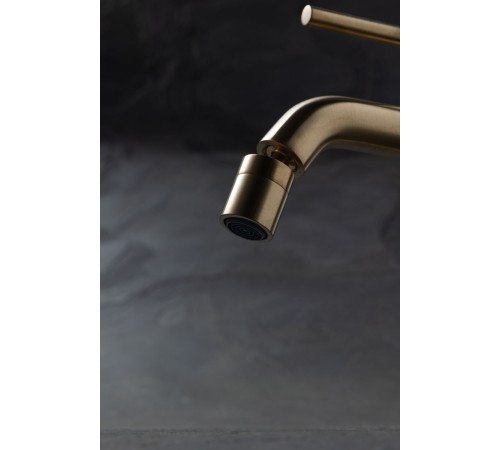 Смеситель для биде Allen Brau Priority 5.31A04-GB (с донным клапаном) золото