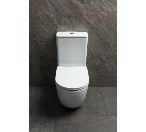 Чаша напольного унитаза Allen Brau Priority Tornado 4.31006.20 белый глянец