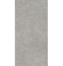 Керамогранит 60х120 SandStone Серый матовый R10A
