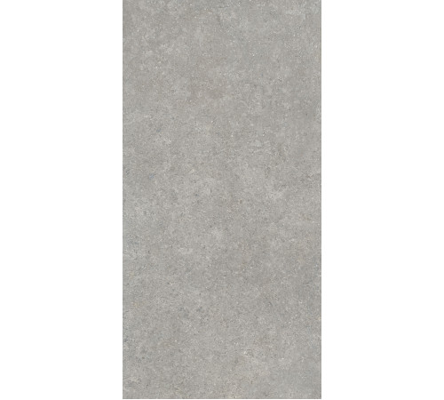 Керамогранит 60х120 SandStone Серый матовый R10A