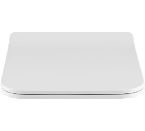 Сиденье для унитаза Allen Brau Liberty 4.33008.20 белый