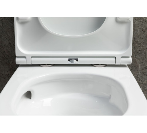 Чаша подвесного унитаза Allen Brau Priority Tornado 4.31009.20 белый глянец