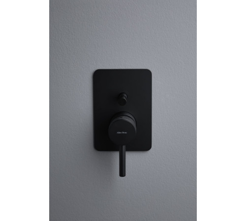 Смеситель для душа Allen Brau Priority X2 5.31011-31 (с внутренней частью, 2 выхода) черный матовый