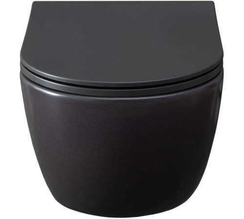 Чаша подвесного унитаза Allen Brau Priority 4.31001.AN антрацит