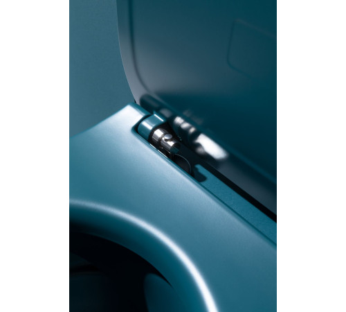 Крышка-сиденье для унитаза Allen Brau Fantasy Soft-Close 4.11005.PT петроль