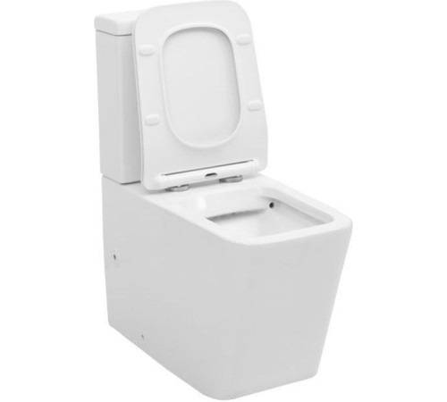 Чаша напольного унитаза Aquanet Rimless Tavr-C1 BL-103N-TPT