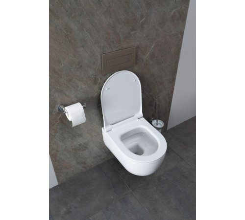 Чаша подвесного унитаза Allen Brau Priority 4.31002.20 белый глянец