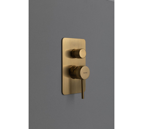 Смеситель для ванны Allen Brau Priority 5.31011-GB (с внутренней частью, 2 выхода) золото