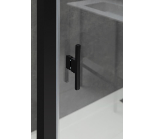 Душевой уголок Allen Brau Priority 120x100 3.31033.BBA + 3.31048.BBA черный браш