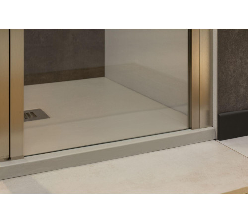 Душевая дверь Allen Brau Priority 120 3.31008.BA серебро браш