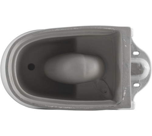 Чаша напольного унитаза Aquanet Ray-C