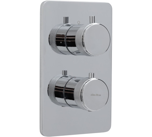 Душевой комплект Allen Brau Priority 5.31013-00 (с внутренней частью, 2 выхода) хром